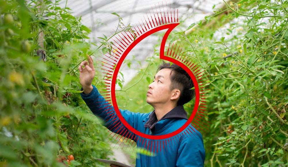 Phát triển bền vững 