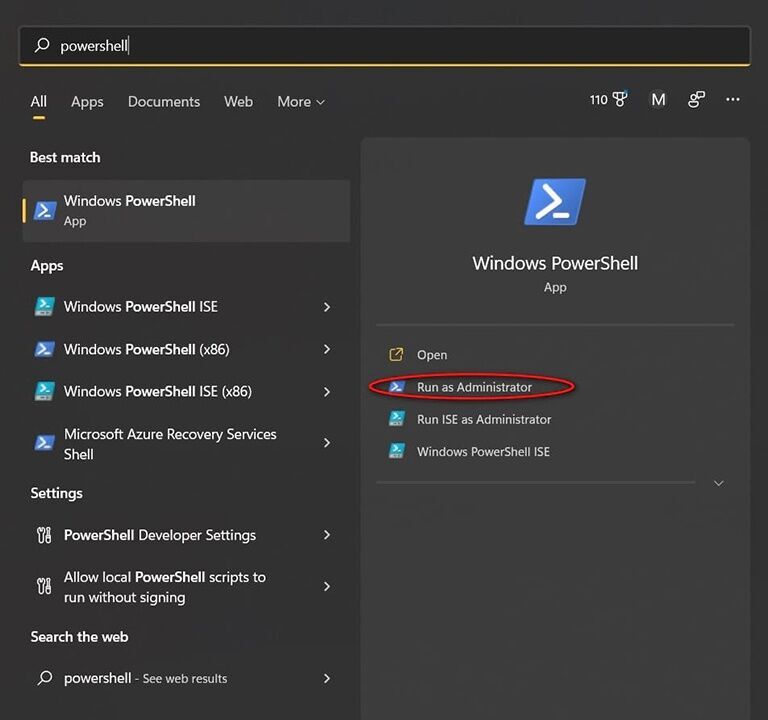 Ba cách đơn giản để tìm khóa Windows 11 - ảnh 1