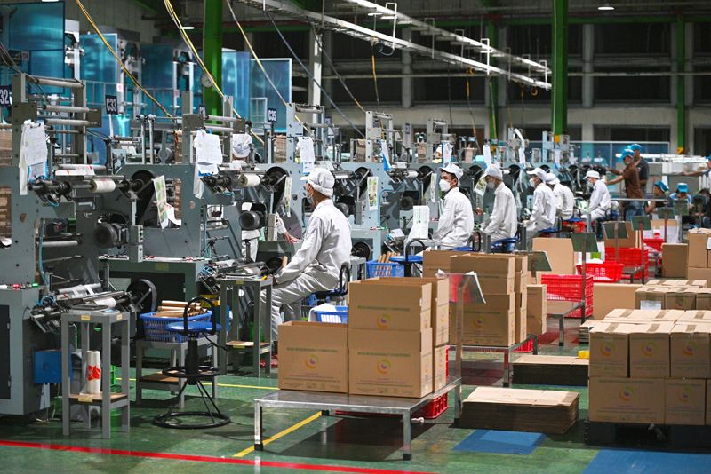 AnEco: Hành trình đưa sản phẩm xanh Made-in-Vietnam ra thế giới
