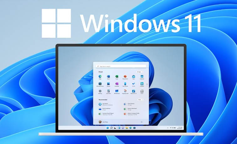 Windows 11