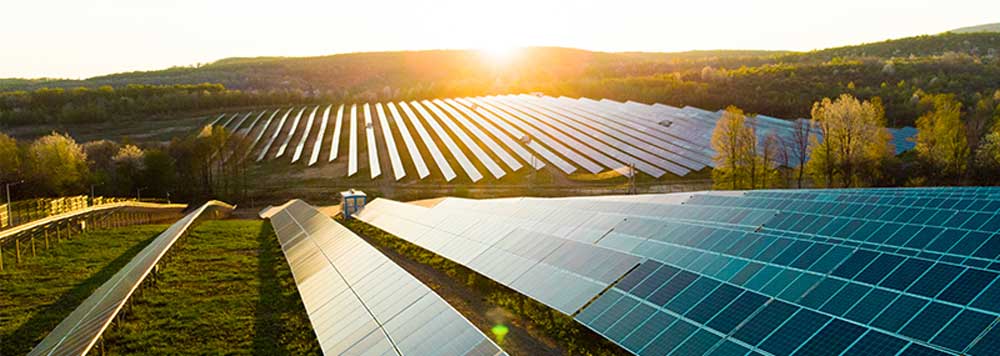 Việt Nam có tiềm năng lớn về sản xuất, xuất khẩu công nghệ khử carbon