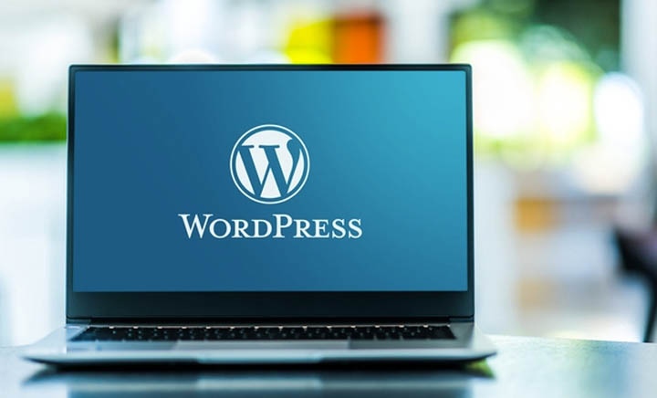 Lỗ hổng WordPress