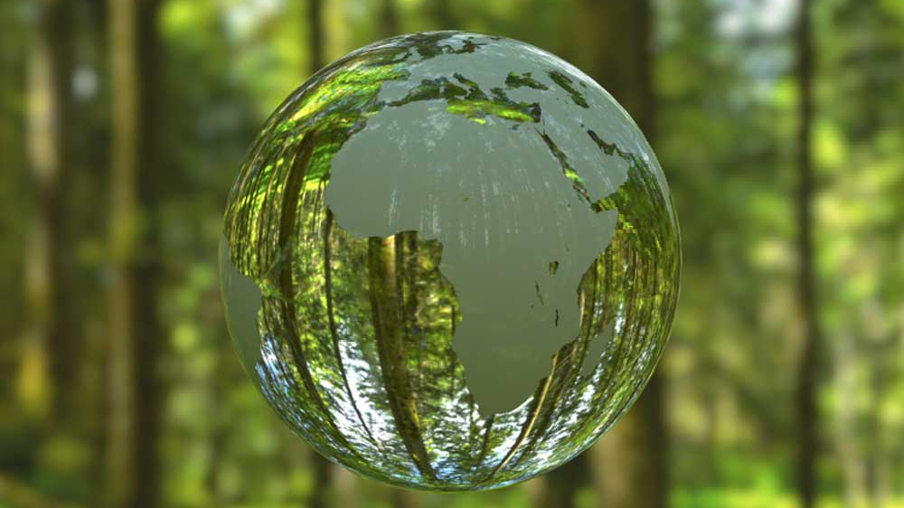 Chuyển đổi hệ thống lương thực phục vụ phát triển bền vững