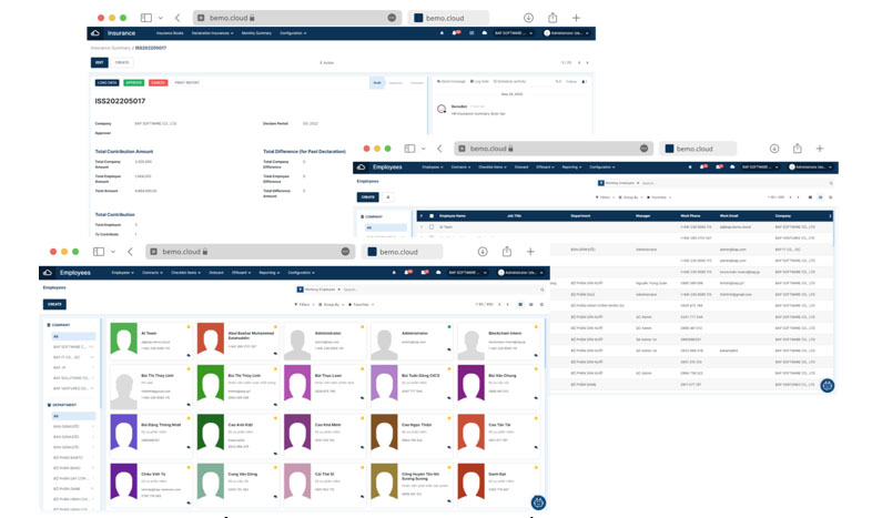 Bức tranh nhân sự tổng quan cho doanh nghiệp. Nguồn: Bemo Cloud