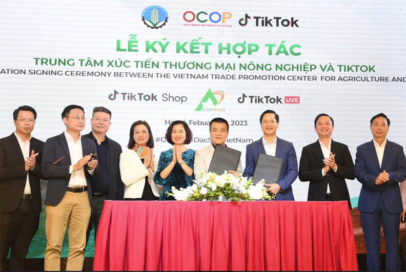 Hợp tác