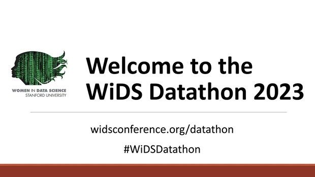 Sinh viên Việt Nam lọt top cuộc thi về khoa học dữ liệu WiDS Datathon