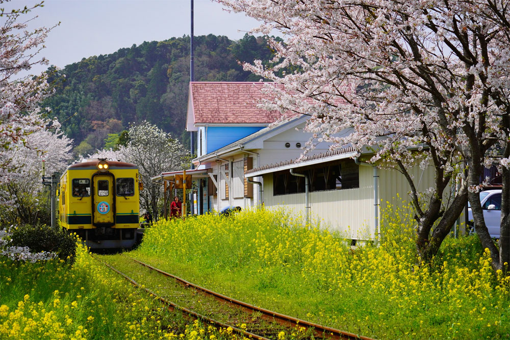 Chiba Nhật Bản