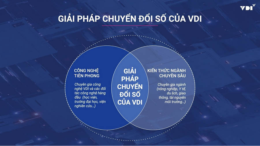 VDI nhằm đưa ra định hướng hợp tác phát triển song phương