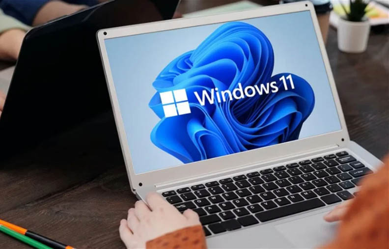 Windows 11