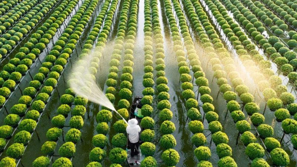 Thúc đẩy chuyển đổi số ngành nông nghiệp bằng hệ thống VNPT AIMS