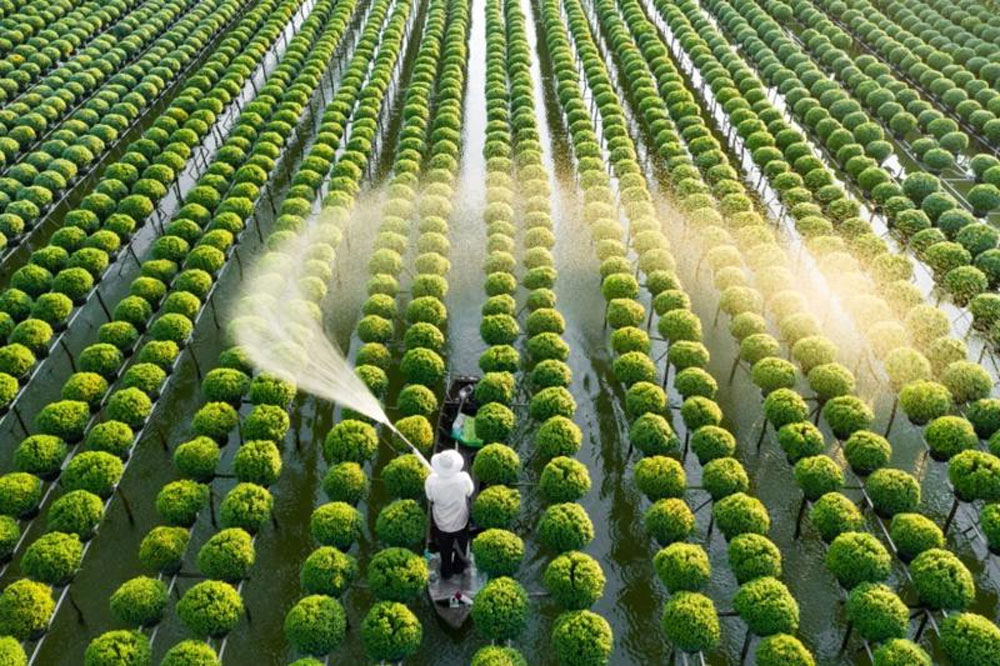 chuyển đổi số ngành nông nghiệp