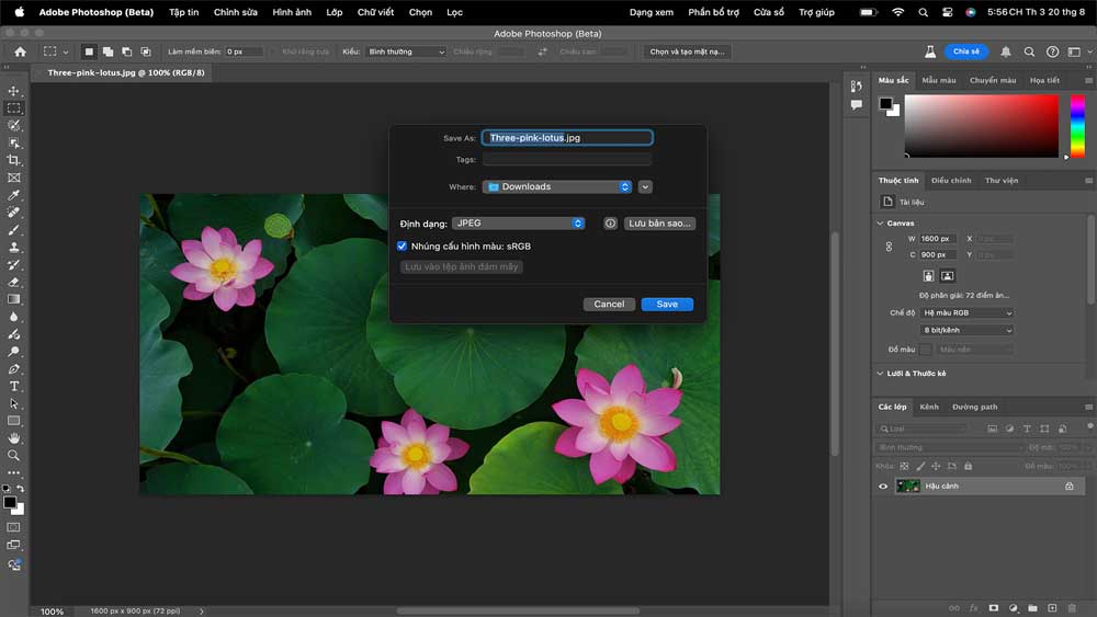 Adobe bắt đầu hỗ trợ tiếng Việt cho Photoshop