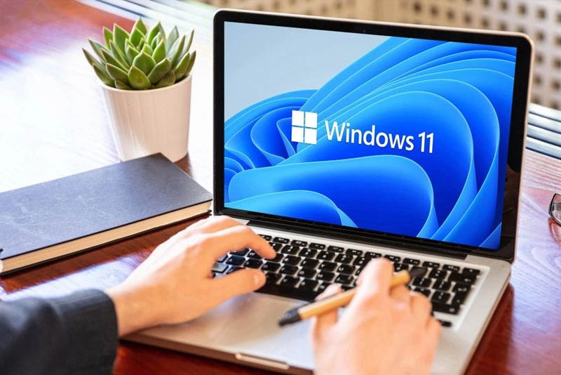 Windows 11