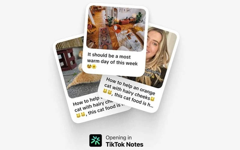 TikTok Notes