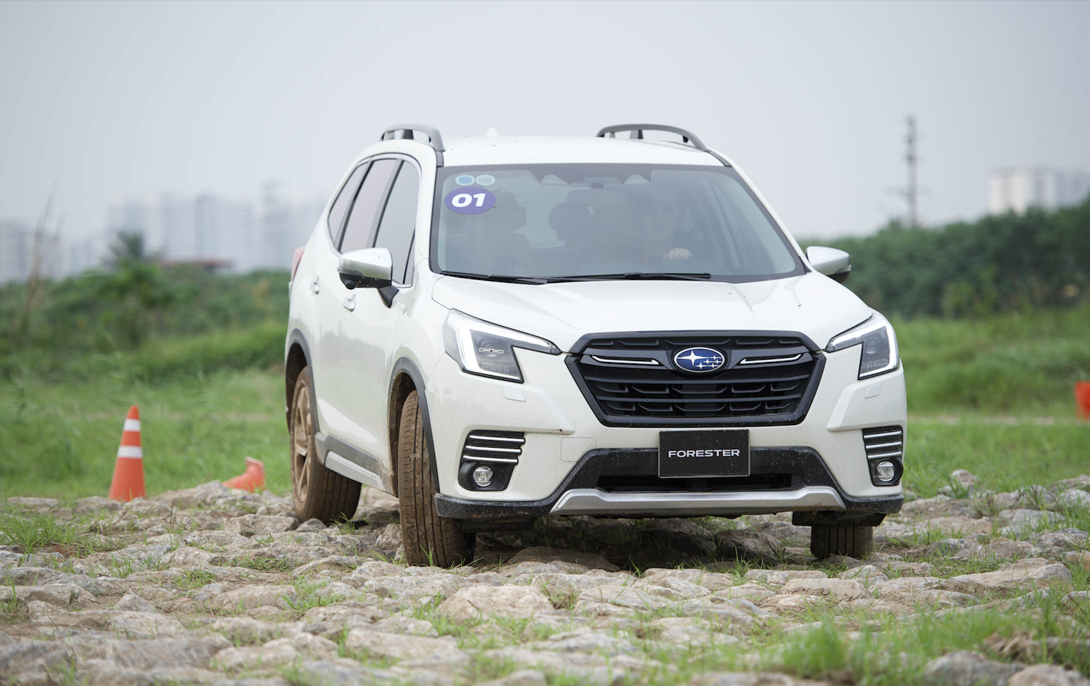 mẫu xe Subaru Forester sẽ được nhập khẩu nguyên chiếc từ Nhật 