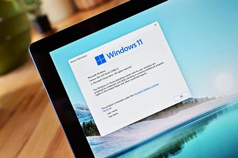 Windows 11