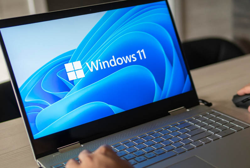 Windows 11 đang cải thiện dần thị phần hệ điều hành PC