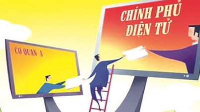 Việt Nam lên hạng 71 thế giới về chỉ số phát triển Chính phủ điện tử