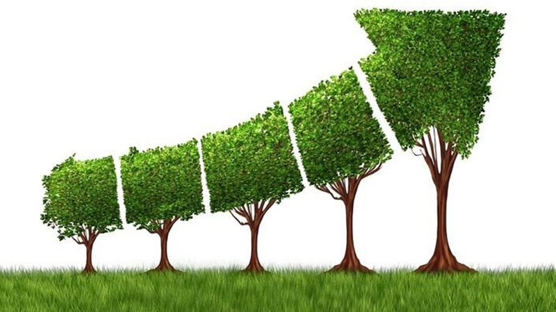 Chiến lược Tăng trưởng Xanh và những "bài toán khó" đặt ra