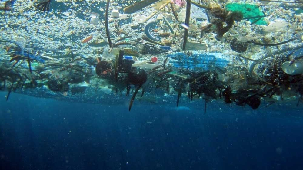 Đại học Monash phát triển công cụ AI chống ô nhiễm vi nhựa