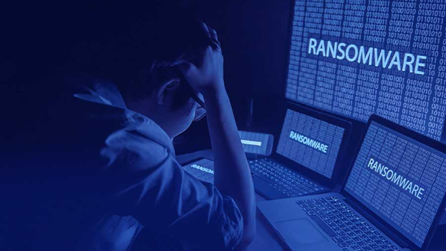 Một doanh nghiệp mất hơn 100 tỷ đồng do mã độc tấn công