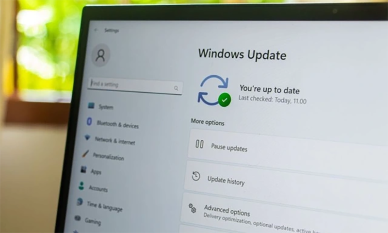 bản vá windows 11