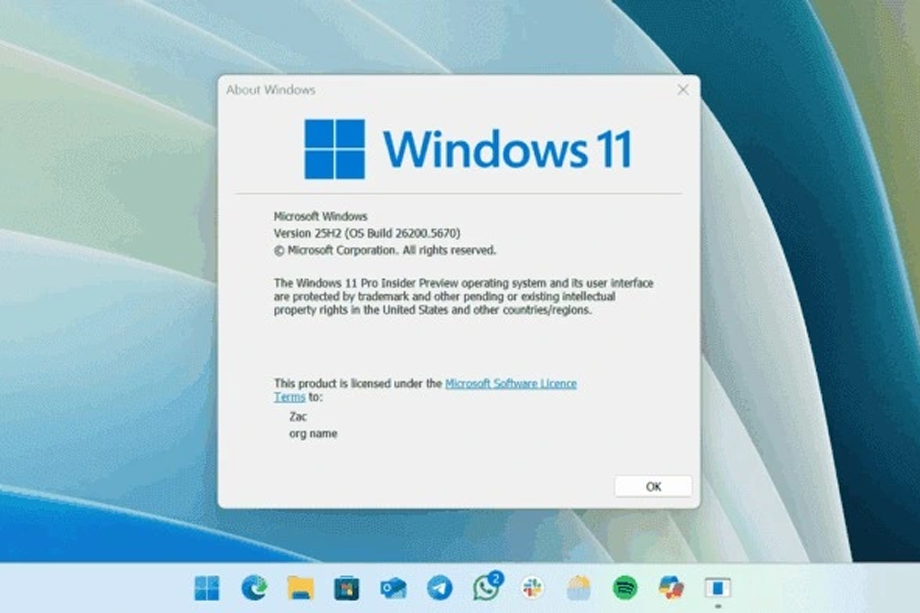 Windows 11