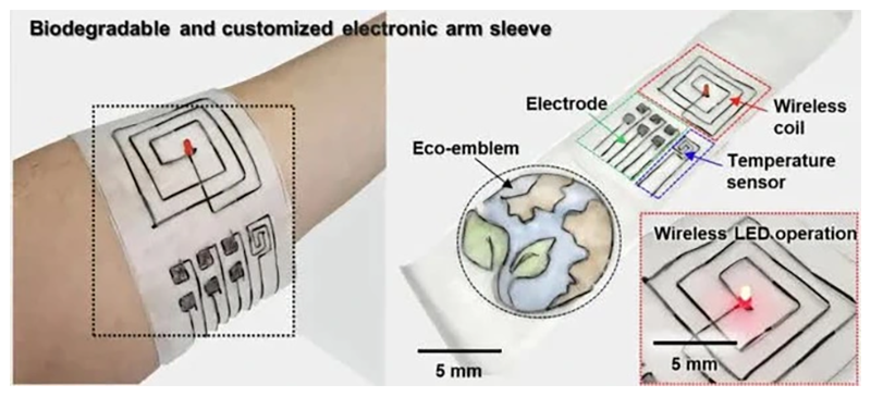 Công nghệ sợi sinh học đột phá giúp xử lý rác thải điện tử