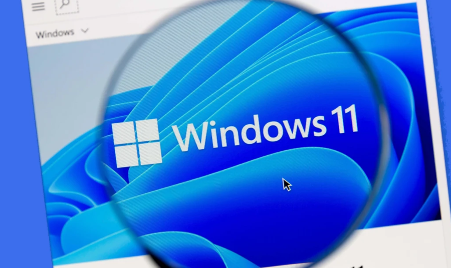 Windows 11