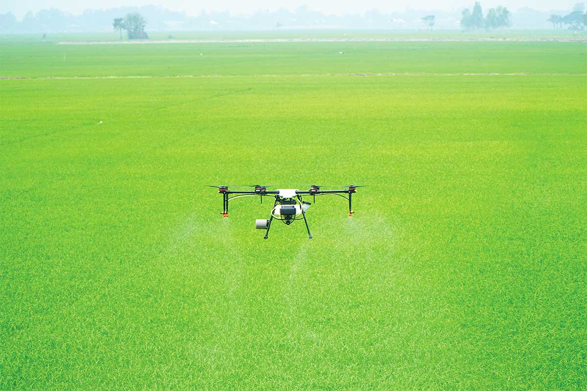 Doanh nghiệp Việt ở đâu trong cuộc đua Kinh tế tầm thấp?