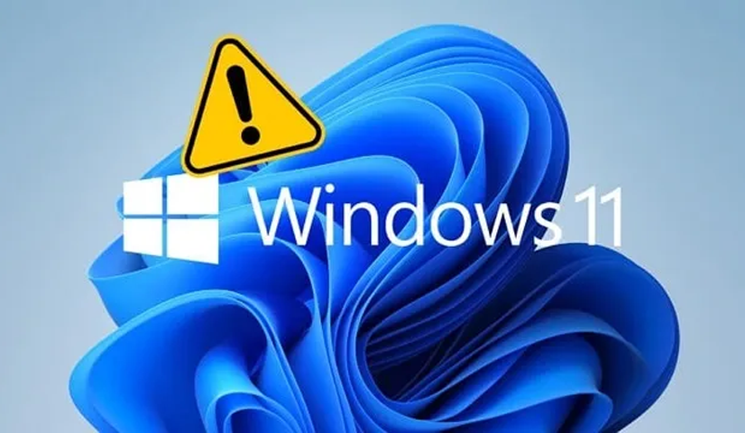 cập nhật Windows 11