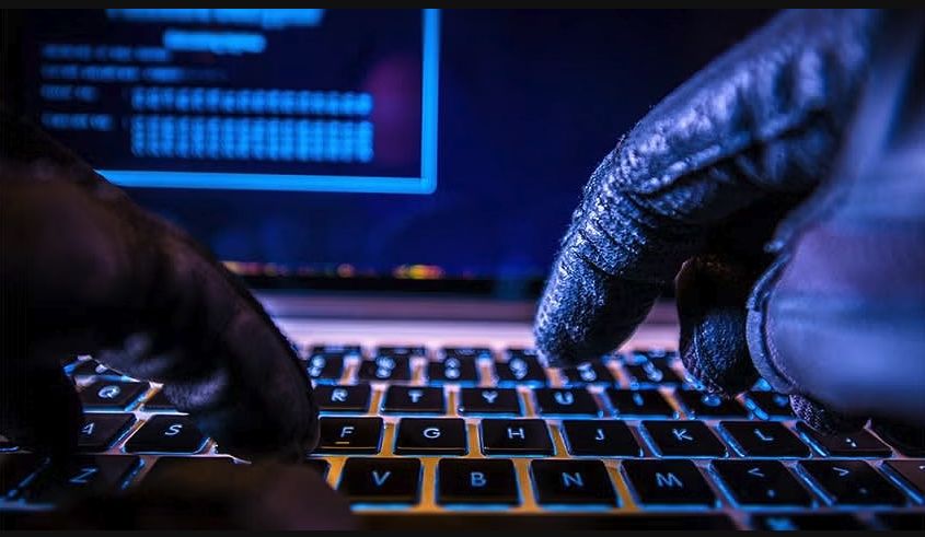 dolphin malware