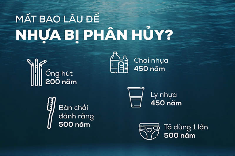 Tk%20anh%20Bao%20chi-01.jpg