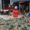 Kết nối cung - cầu sản phẩm nông nghiệp "chuẩn" và nhanh hơn nhờ công nghệ