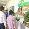 Bình Định: Chuỗi sự kiện Kết nối cung cầu hàng Việt sẽ diễn ra trong 2 ngày tới