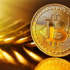 Thợ đào khốn đốn vì Bitcoin và thị trường crypto đi xuống