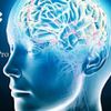 Google đang phát triển mô hình AI Gemini 1.5 Pro mới