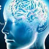 Google đang phát triển mô hình AI Gemini 1.5 Pro mới