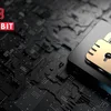 LockBit là dòng mã độc mã hóa dữ liệu được phát tán nhiều tại Việt Nam
