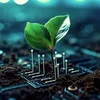 AI tạo sinh khiến lượng khí thải carbon tăng gấp ba lần
