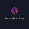 Amazon ra mắt dịch vụ Nova Forge giúp các tổ chức tự xây dựng mô hình riêng