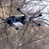 Các công ty Nhật Bản triển khai dịch vụ giao hàng bằng UAV