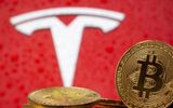 Khai thác 'mỏ bitcoin' bằng năng lượng mặt trời