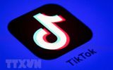 Taliban cấm ứng dụng TikTok và trò chơi PUBG tại Afghanistan
