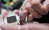 Khối lượng nhập khẩu chip của Trung Quốc giảm