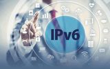 Tỷ lệ sử dụng IPv6 trên Internet Việt Nam hiện đạt 50%
