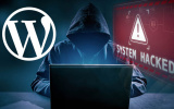 Lỗi bảo mật khiến 4 triệu website WordPress gặp nguy hiểm