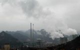 AI là công cụ thiết yếu giúp doanh nghiệp giảm lượng khí thải carbon