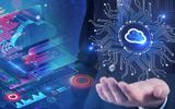 Thị phần dịch vụ Cloud của doanh nghiệp Việt đang tăng