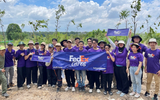 Tình nguyện viên FedEx chung tay phủ xanh đô thị và phục hồi rừng ngập mặn
